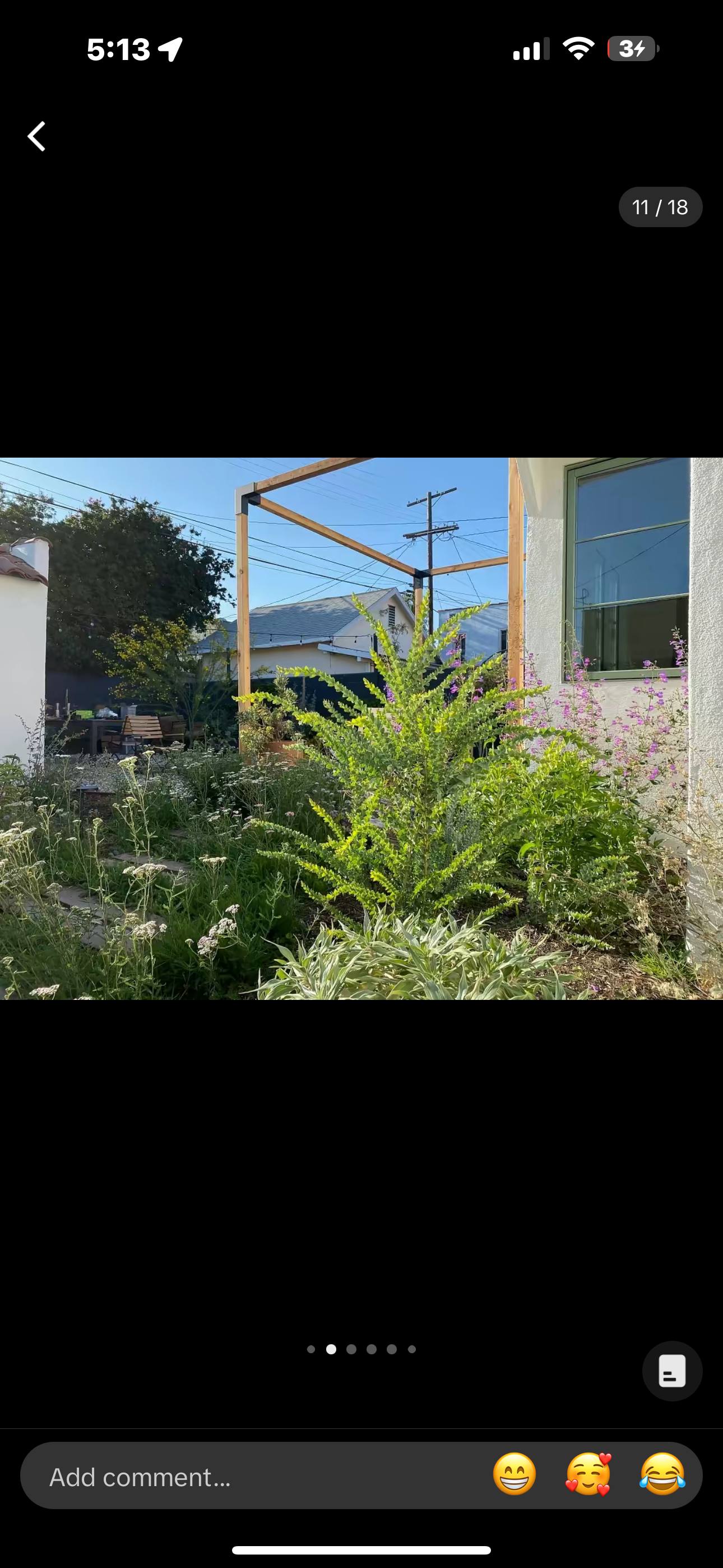 nature. yard, large plants, makeover, native plants