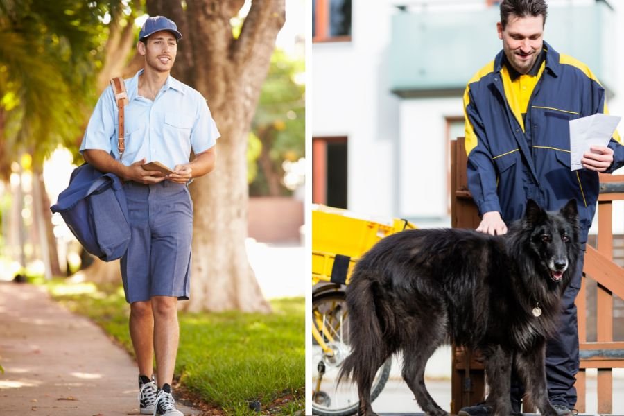 A Vietnam veteran died, leaving his dog homeless. His mailman took immediate action.