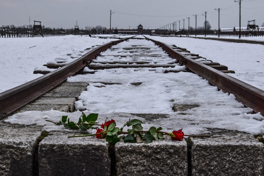 germany, WWII, concentration camp, holocaust, auschwitz-birkenau