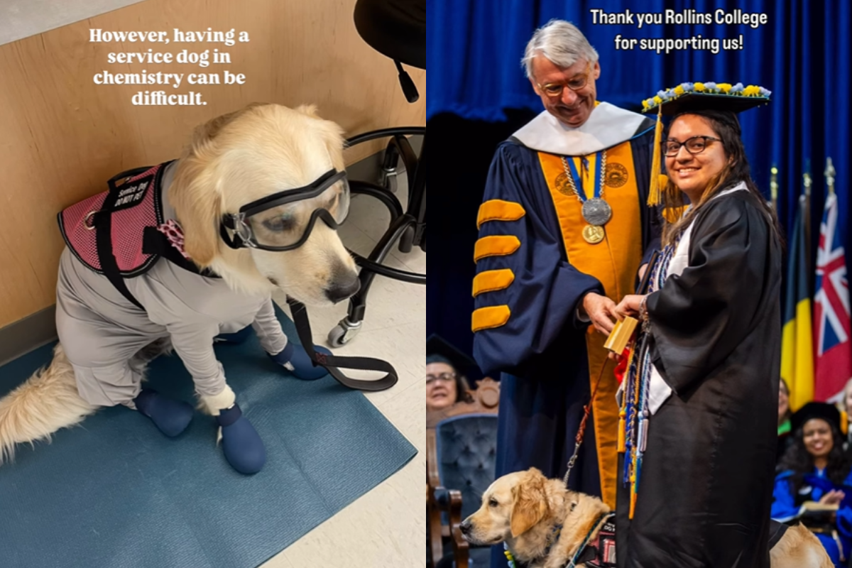Service dog trained to work in a chemistry lab gets her own special award at graduation