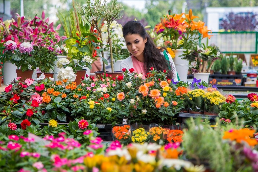 flowers, fresh flowers, growing up poor, small luxuries