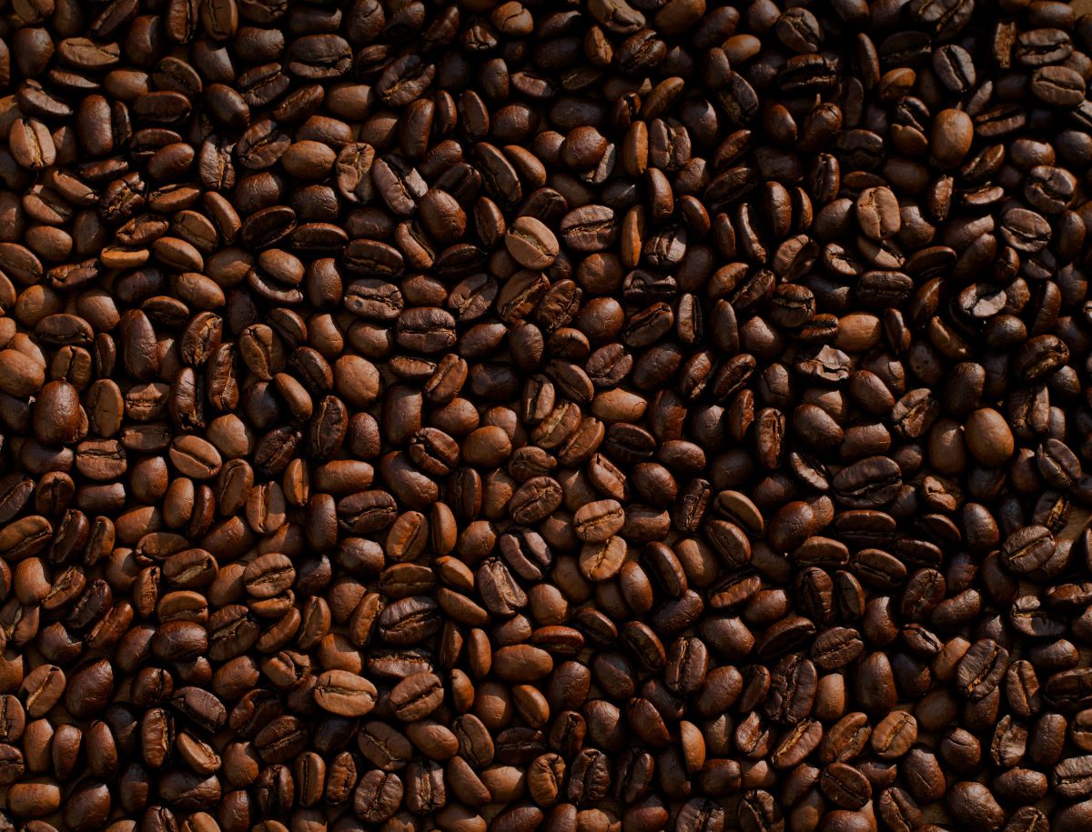 coffee, environment, environmentalism, global warming, climate change, innovation, science, planet, earth