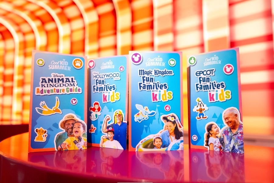 Disneyland; Disney World; Disney budget; tips for Disney; family vacation; cool kid summer