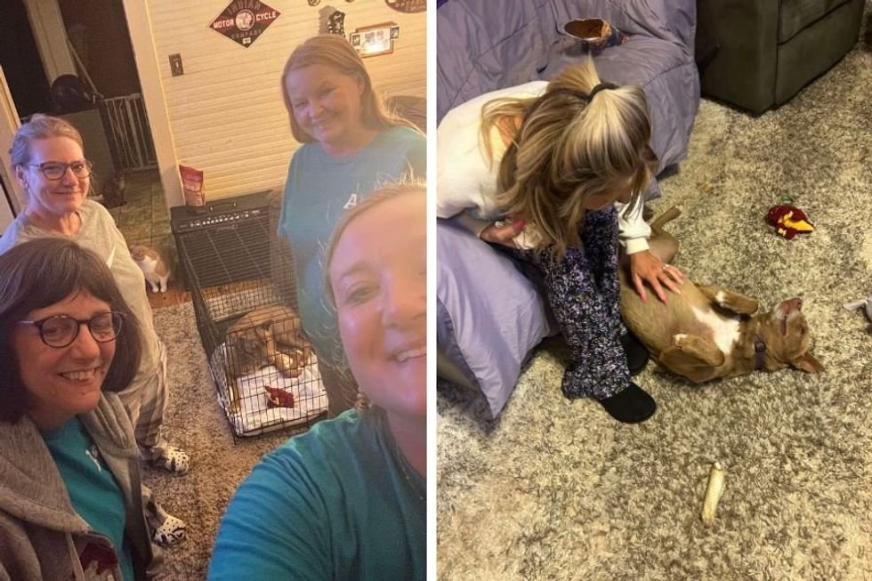 lost dog rescue, dog reunion, Anakin's Trails, Husky rescue, pet recovery