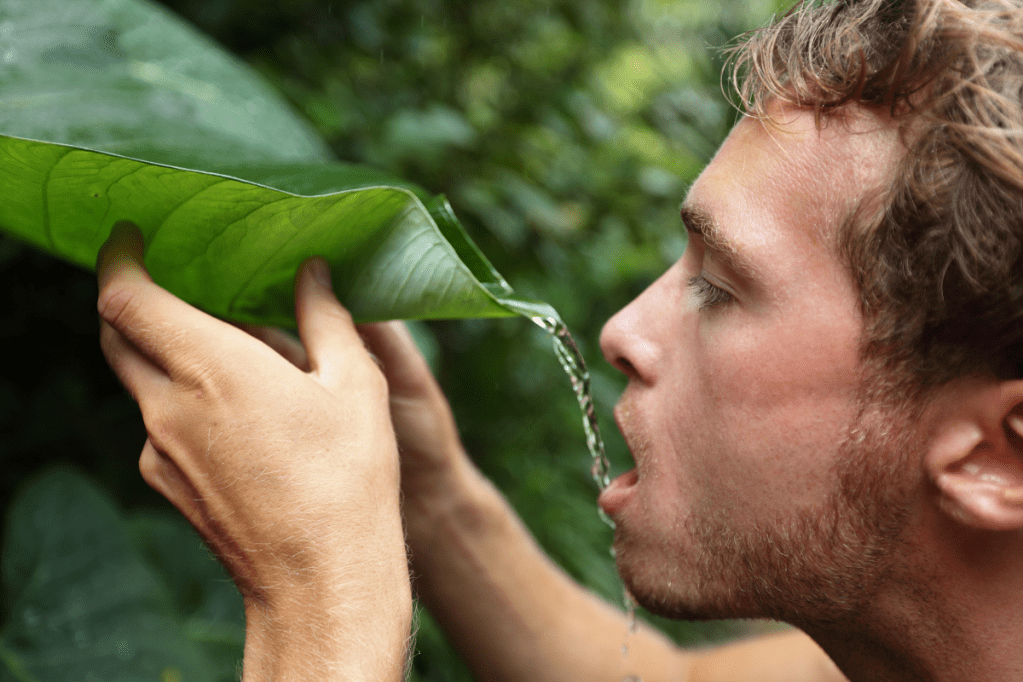 off grid, off grid lifestyle, jungle, rainforest, gen z, money, homeowner, culture, economy, alternative lifestyle