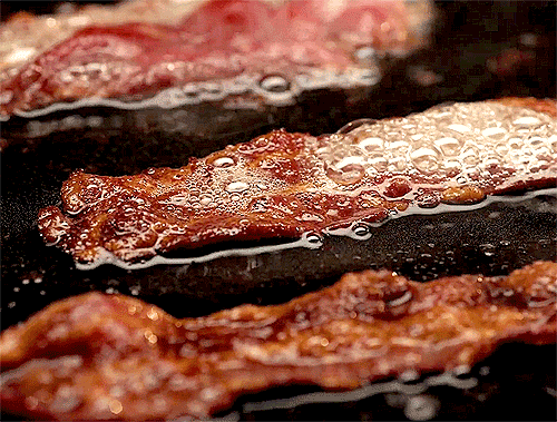 bacon, frying bacon, bacon gif, fry bacon, make bacon