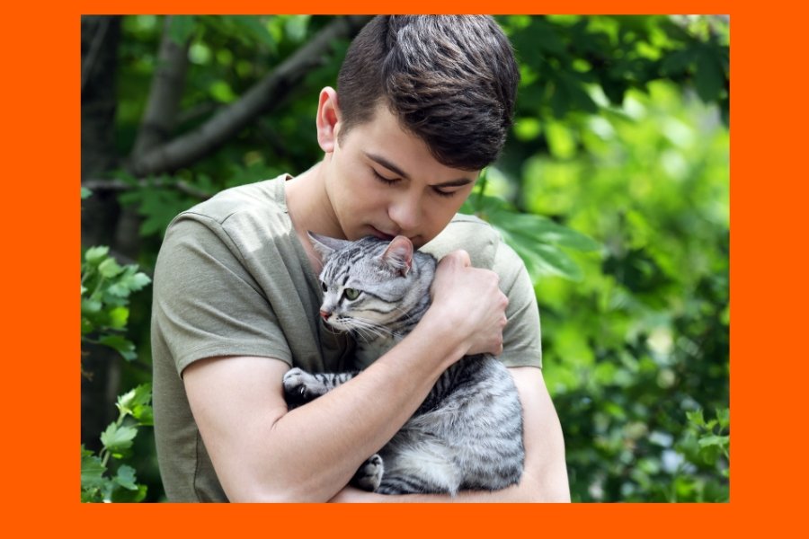 cat people, dog people, cats, dogs, attachment style