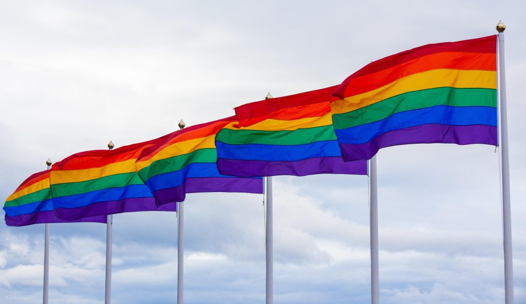 pride flags, rainbow flags, lgbtq flags, flags in wind, gay pride