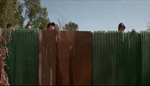 fence, fences, fencing, neighbor, good neighbors 