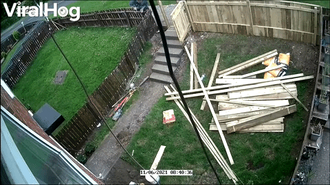 fences, yard work, fencing, building, neighbors, home