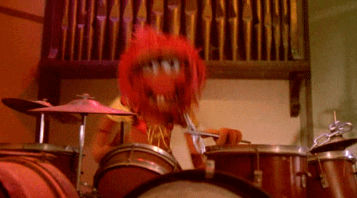 The Muppets, Animal, jokes, kids, Letterman