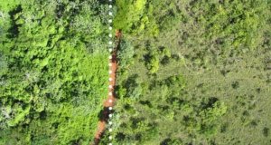 natural wonder, nature, experiments, costa rica, oranges, orange peels, national park, climate, planet