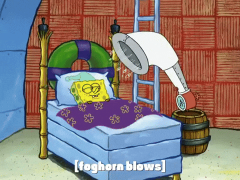 wake up, bed, morning, routine, early