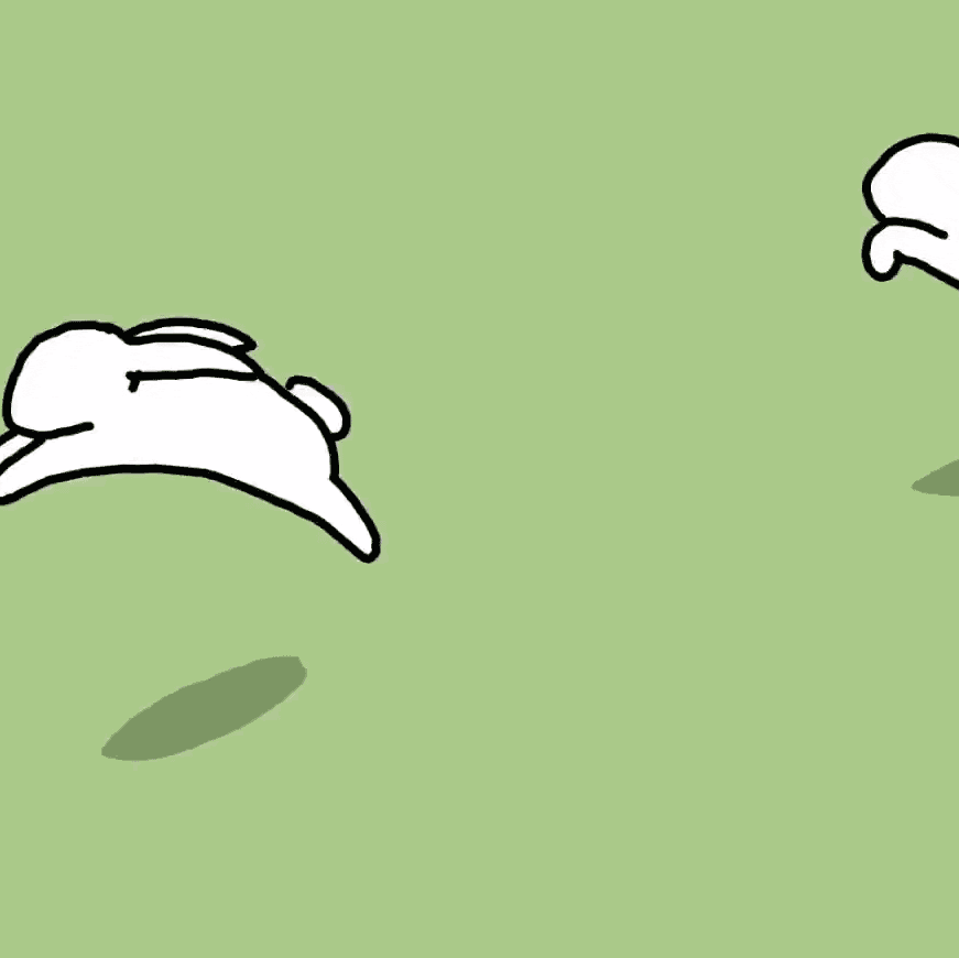 bunnies, jumping, comedy, bouncing, jokes