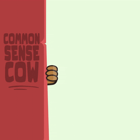 captain obvious, captain obvious gif, slang, gen x slang, phrase captain obvious