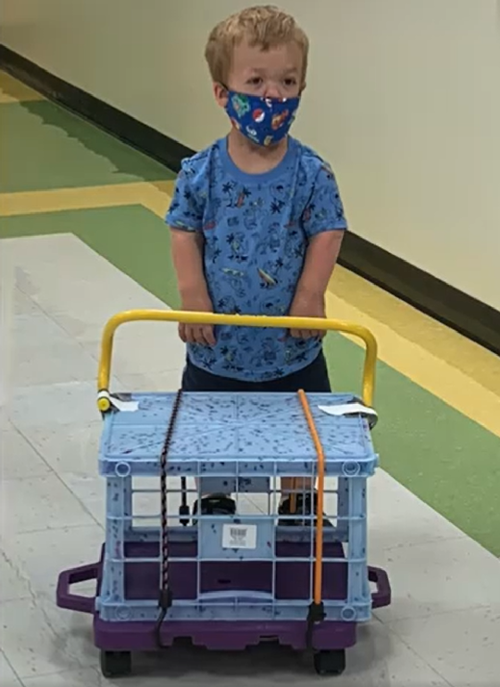 dwarfism, adaptive equipment, cart