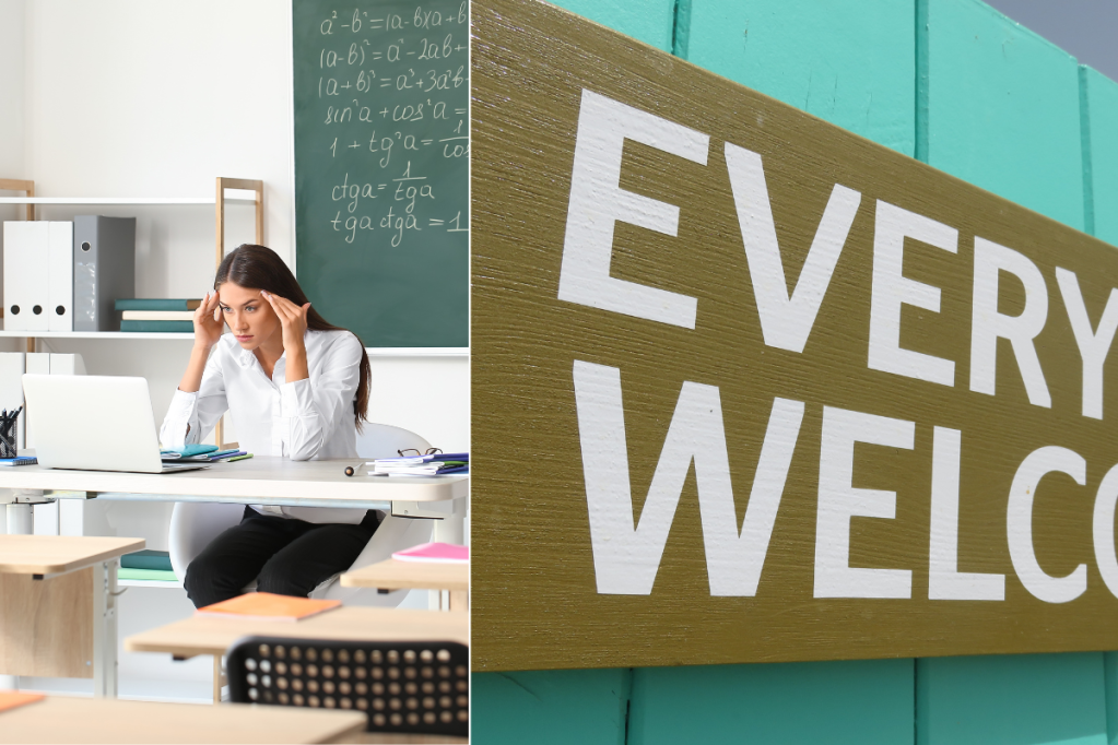 teachers, teaching, schools, DEI, trump, woke, teacher fired, controversy, kids, education