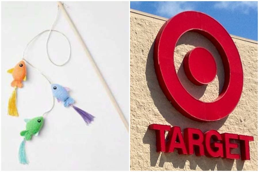 Woman praises Target for taking responsibility after a pet toy killed her cat