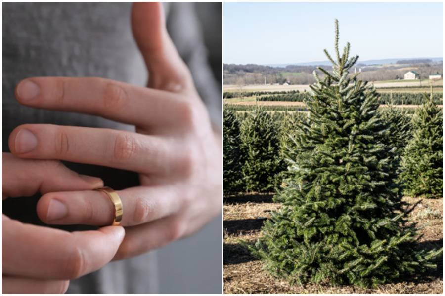 rings, lost and found, christmas tree lot, good news,