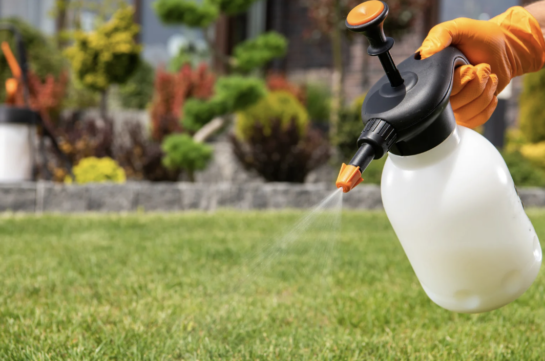 cancer, cancer prevention, how to avoid cancer, cancer causing foods, what causes cancer, oncologist, oncologist near me