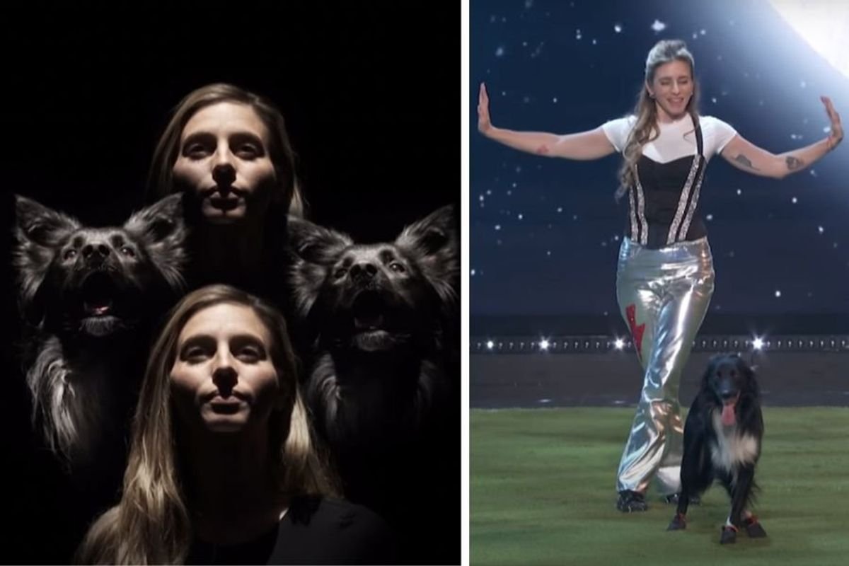 roni sagi, rhythm, border collie, dancing dog, america's got talent