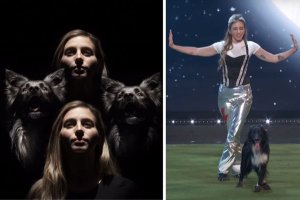 roni sagi, rhythm, border collie, dancing dog, america's got talent