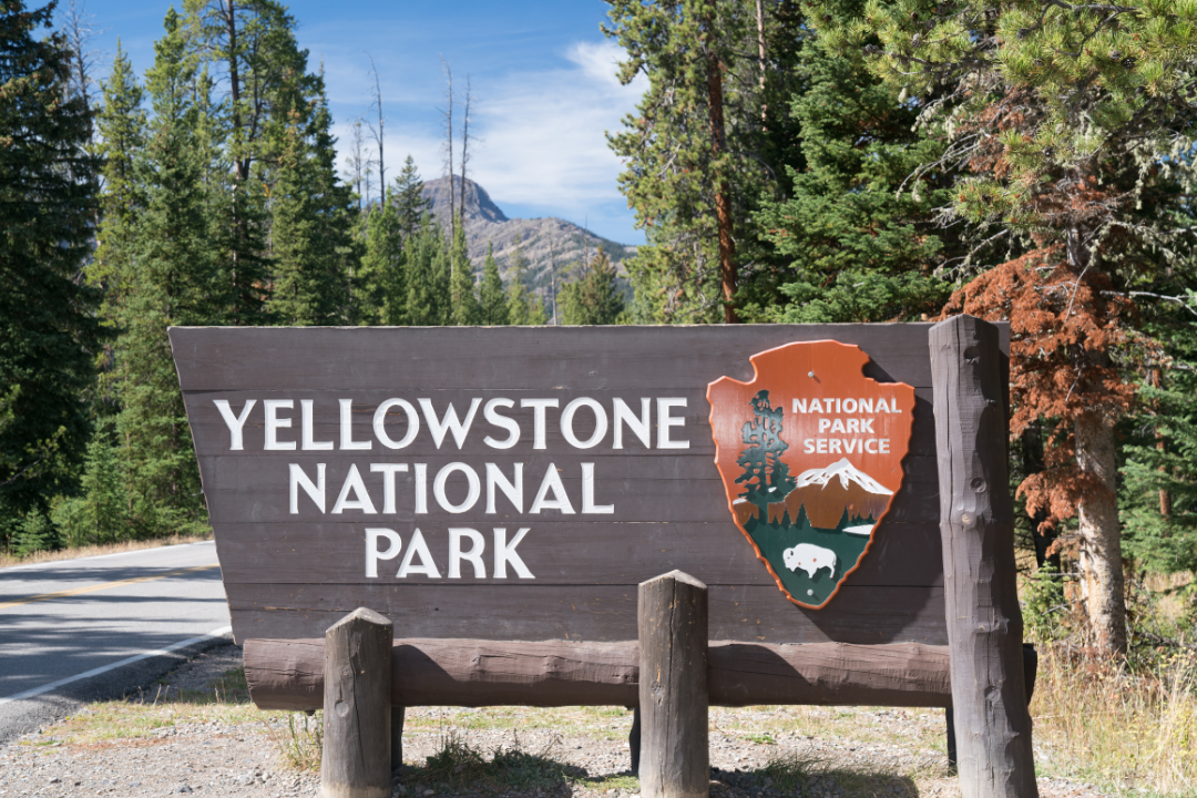 yellowstone, national park, tourism, economy, nature
