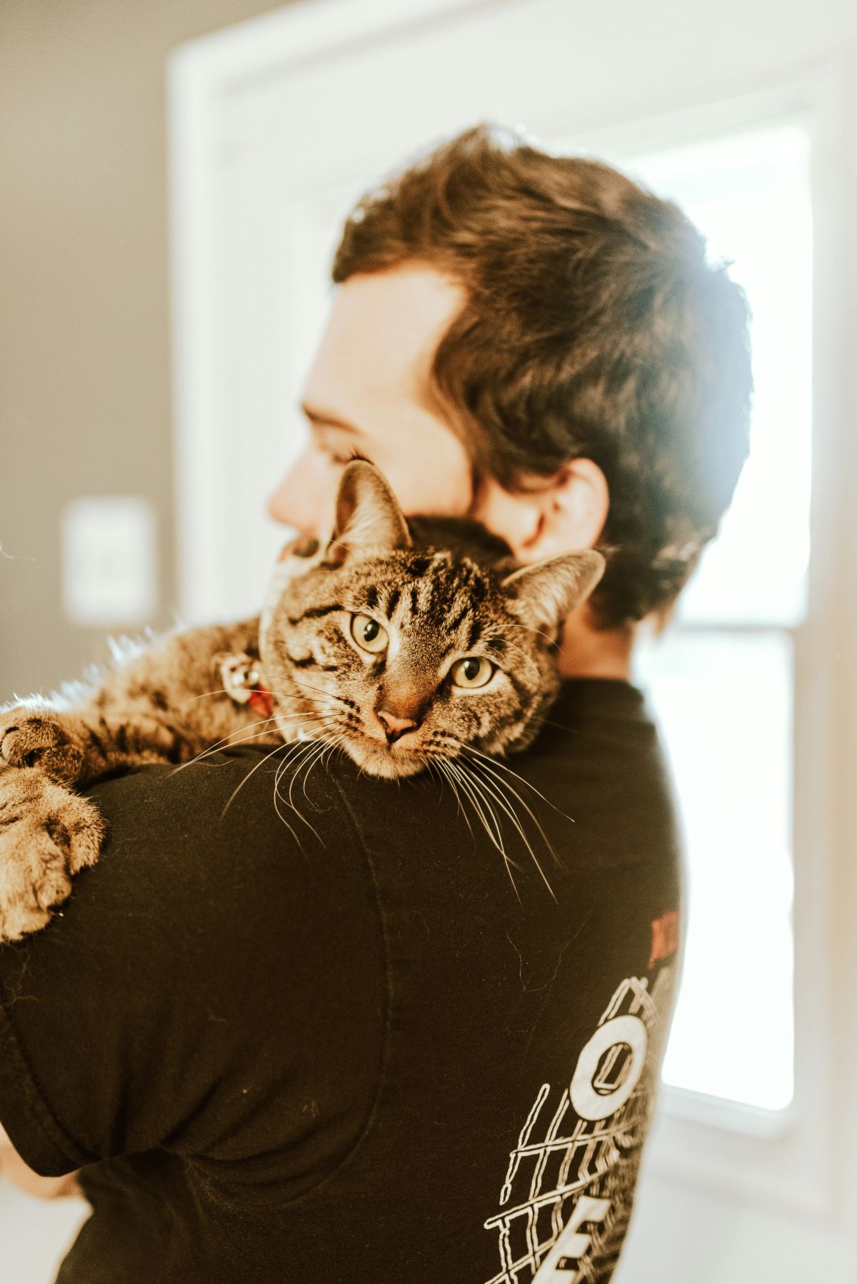cats, love, pets, animals, humans