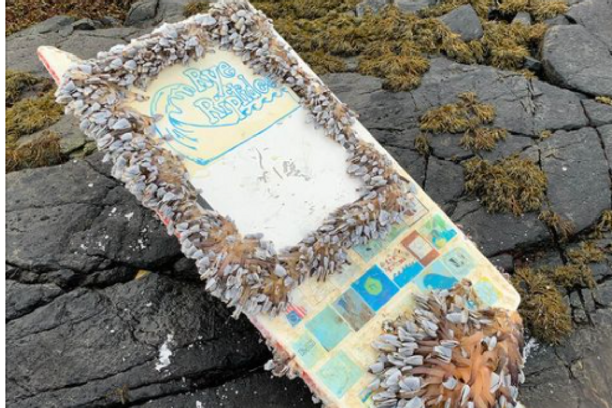 Middle schoolers in New Hampshire created an adorable mini boat that sailed all the way to Norway
