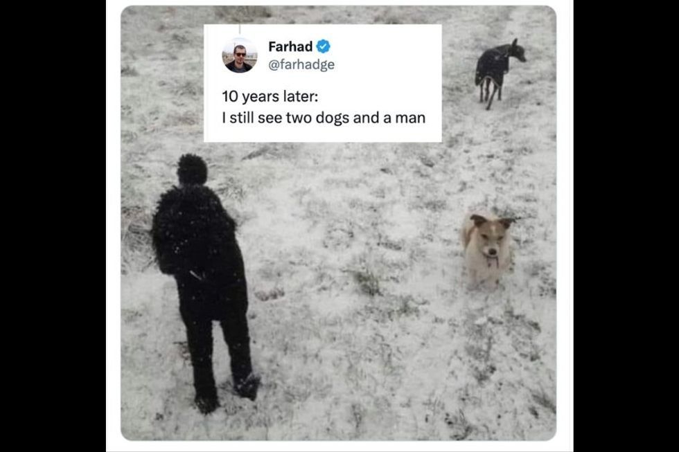 If you see a person and two dogs in this photo, look again. It’s an optical illusion.