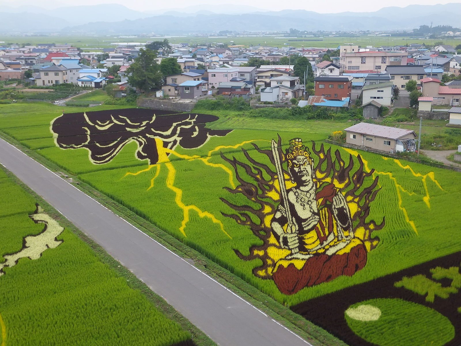 rice paddy art, tanbo art, inakadate village, japan, rice paddy