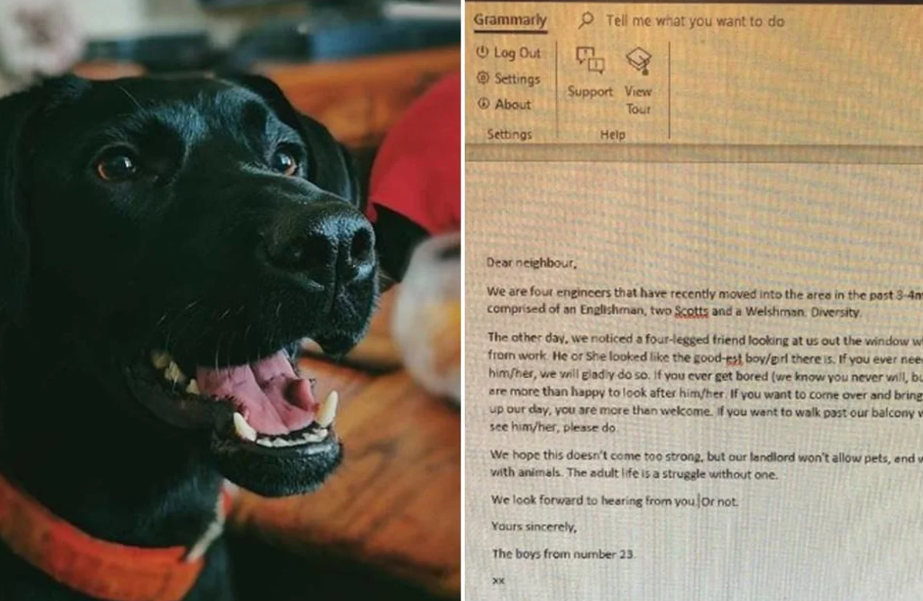 Four guys asked their new neighbor if they could walk her dog. Then the dog wrote back.