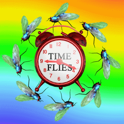 time flies, time fly, flying by, time passing, time pass