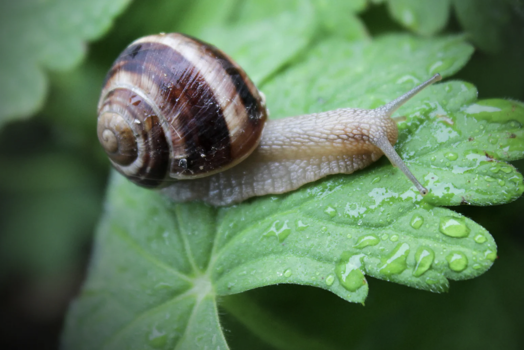 childhood, core memories, frugal, money, money free activities, parenting, kids