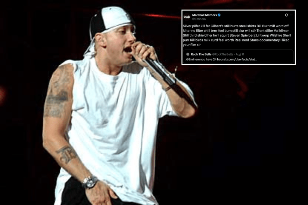 eminem, marshall mathers, rap, hip hop, rhymes, english language, rhyming words, rhyme challenge, silver, purple, orange