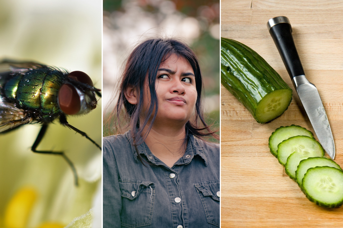 15 awesome, endangered idioms almost no one says anymore, but should