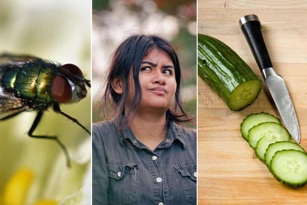 idioms, endangered idioms, weird idioms, funny idioms, catchphrases, common sayings, words of wisdom, english language, words, funny