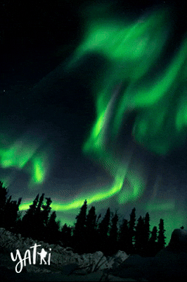 green phosphorous, green glow, glowing, lights 