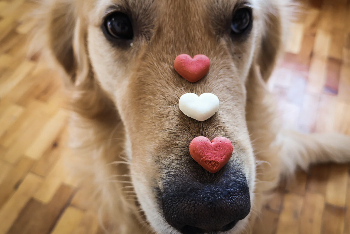 happiness, sex, drugs, alcohol, sober living, sobriety, psychology, psychology of happiness, ask reddit