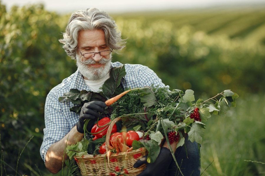 food, eating, vegetables, cooking, nutrition