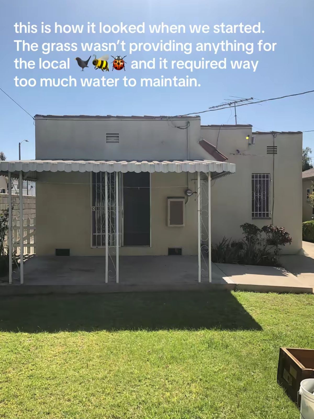 backyard, boring, dilapidated, renew, makeover, new, patio , diy, gardening, sustainability, making a garden