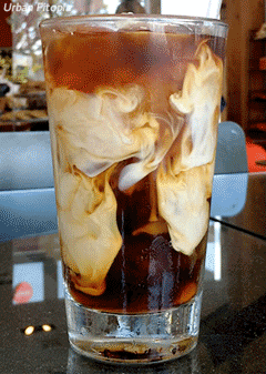 cold brew, cold brew coffee, homemade cold brew, cold brew gif