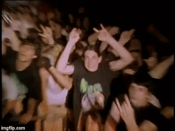 concert, concerts, go to concert, seeing concerts, live shows