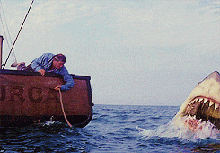 sharks, great white, jaws, Spielberg, movies