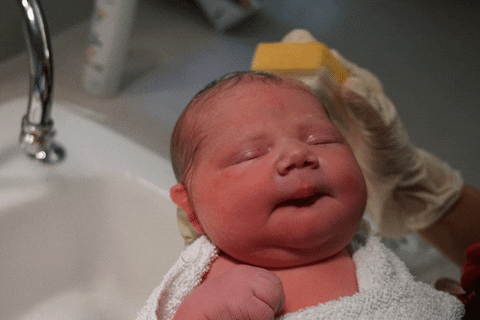 baby, newborn baby, new baby, new born, babies