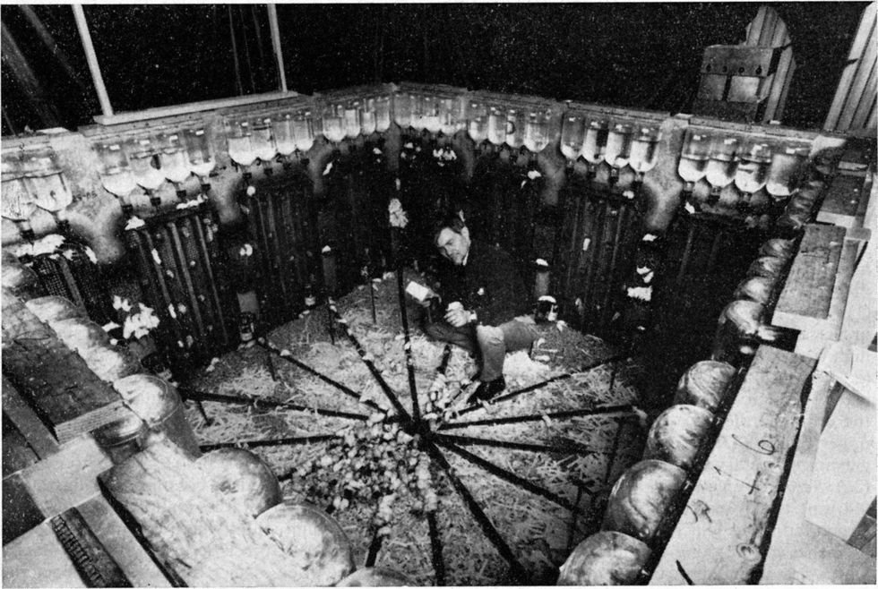 mice, mouse experiments, scientific research, animal experiments, overpopulation