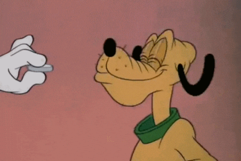 pluto, dog, disney, disney cruise, disney character