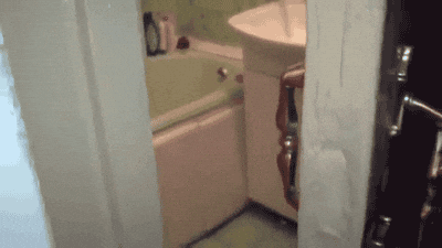 poop, bathroom, cat, funny, humor, toilet