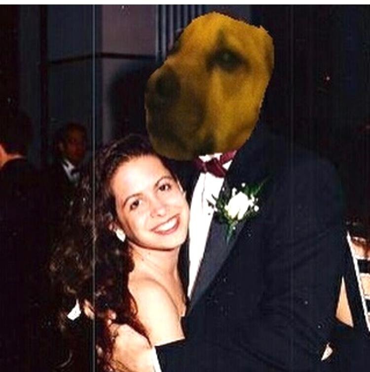 marriage, dogs, pets, companionships, happiness