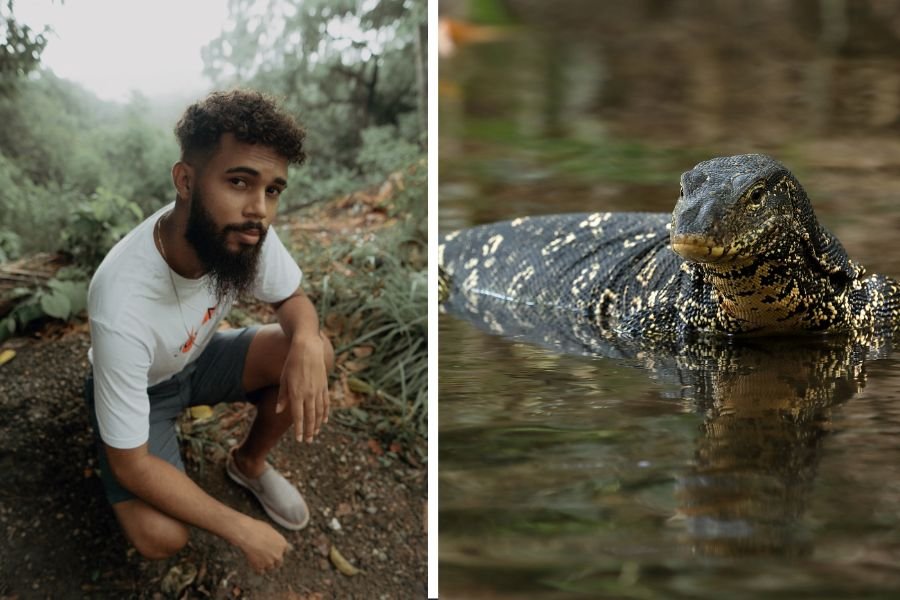Brazil; forest camera, wild life, interesting wild life, man builds puddle, puddle in forest, animals, rainforest, conservation, cute